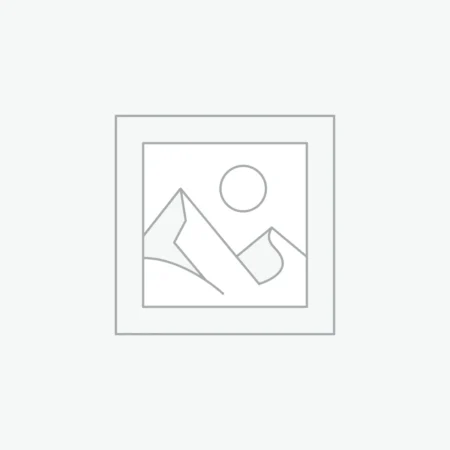 Classic Gold Fountain Pen